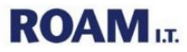 ROAM IT Logo